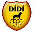 Didi Grup